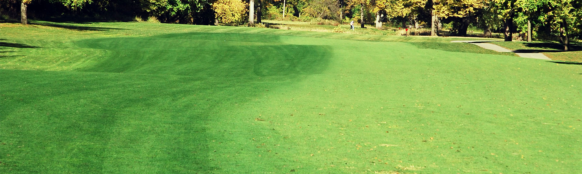 GREEN LAWNGER® TURF COLORANT