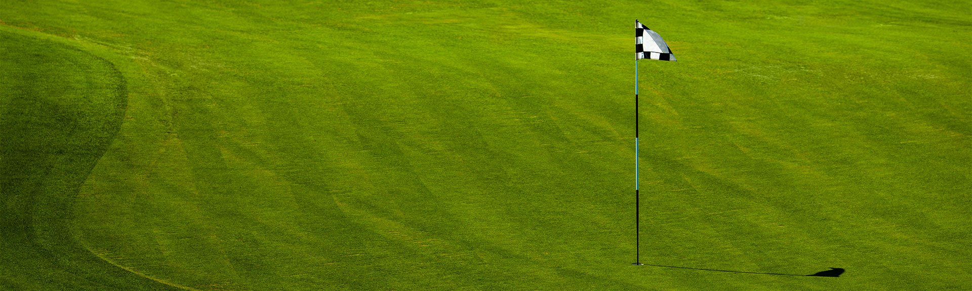 Trinity® Fungicide Broad Spectrum Disease Control BASF Turfgrass Turf