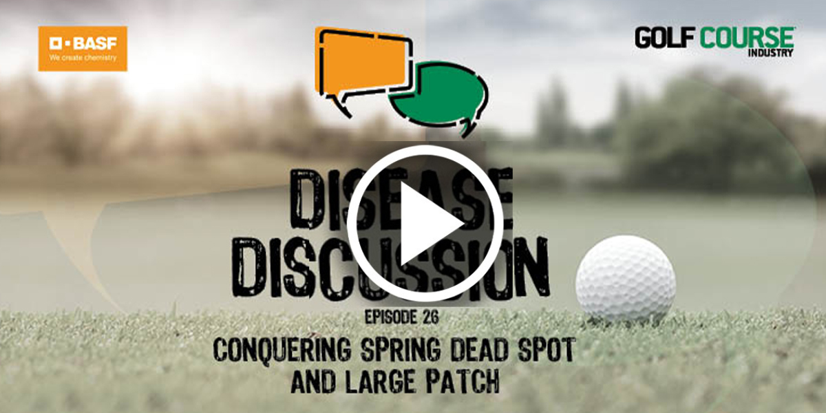  Conquering Spring Dead Spot and Large Patch