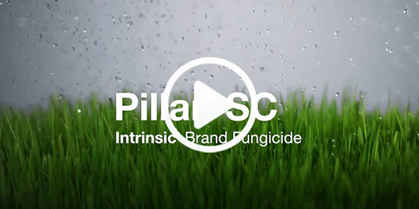 Pillar SC Intrinsic brand fungicide – Technical Overview