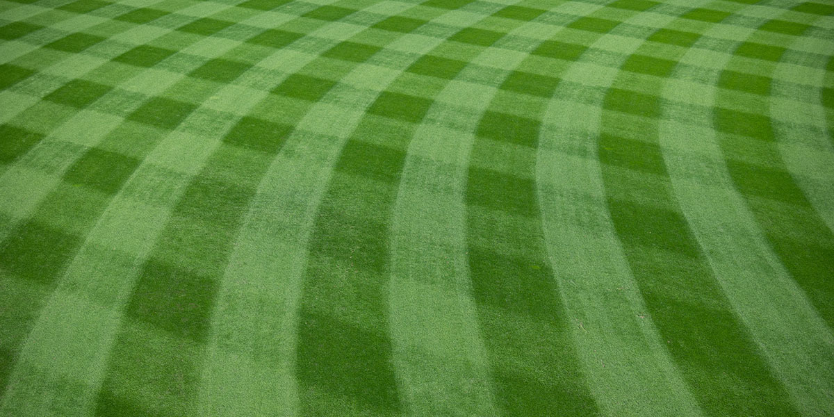 Sports Turf Insecticides