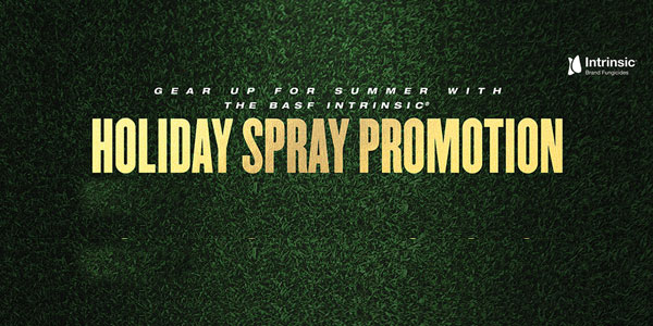 Holiday spray promotion