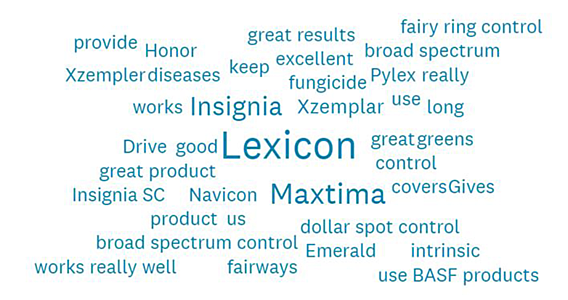Lexicon word cloud